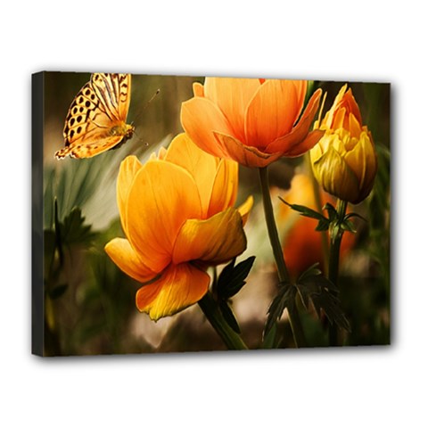 Yellow Butterfly Flower Canvas 16  X 12  (stretched) by Azkajaya