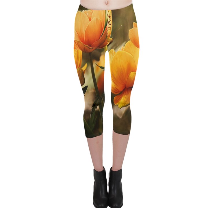 Yellow Butterfly Flower Capri Leggings 