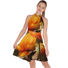 Yellow Butterfly Flower Sleeveless Halter Neck A-line Dress by Azkajaya