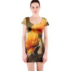 Yellow Butterfly Flower Short Sleeve Bodycon Dress by Azkajaya