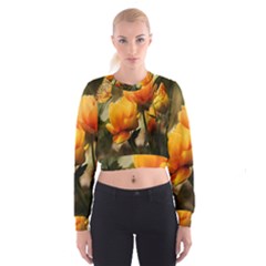 Yellow Butterfly Flower Cropped Sweatshirt