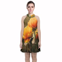 Yellow Butterfly Flower Velvet Halter Neckline Dress 