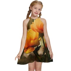 Yellow Butterfly Flower Kids  Halter Collar Waist Tie Chiffon Dress by Azkajaya