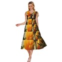 Yellow Butterfly Flower V-Neck Drawstring Shoulder Sleeveless Maxi Dress View2