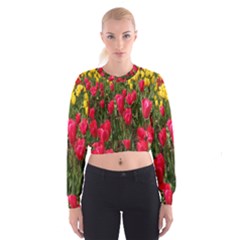 Yellow Pink Red Flowers Cropped Sweatshirt