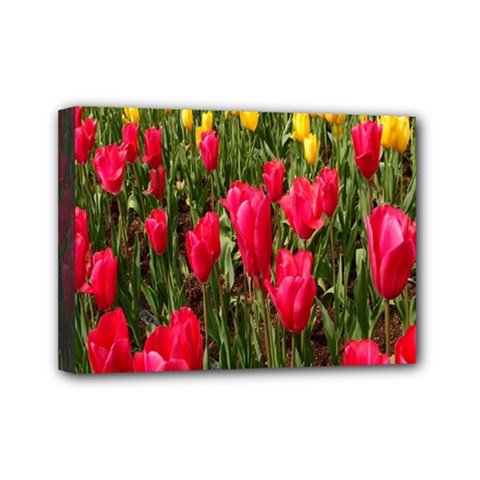 Yellow Pink Red Flowers Mini Canvas 7  X 5  (stretched) by Azkajaya