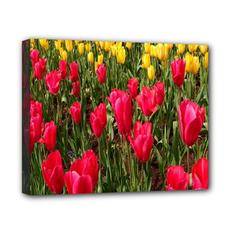 Yellow Pink Red Flowers Canvas 10  X 8  (stretched) by Azkajaya