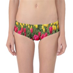 Yellow Pink Red Flowers Classic Bikini Bottoms