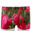 Yellow Pink Red Flowers Men s Boxer Briefs View1