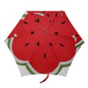 Watermelon Pillow Fluffy Mini Folding Umbrellas View1