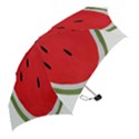 Watermelon Pillow Fluffy Mini Folding Umbrellas View2