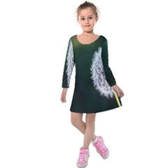 White Flower Kids  Long Sleeve Velvet Dress by Azkajaya