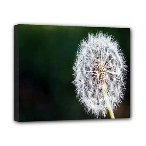 White Flower Canvas 10  X 8  (stretched) by Azkajaya