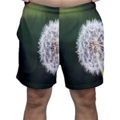 White Flower Men s Shorts