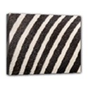 Zebra Zebra Pattern Zebra Fur Zebra Print Strip Canvas 14  x 11  (Stretched) View1