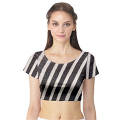 Zebra Zebra Pattern Zebra Fur Zebra Print Strip Short Sleeve Crop Top by Azkajaya