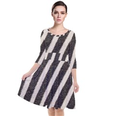 Zebra Zebra Pattern Zebra Fur Zebra Print Strip Quarter Sleeve Waist Band Dress