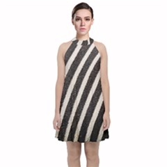 Zebra Zebra Pattern Zebra Fur Zebra Print Strip Velvet Halter Neckline Dress 