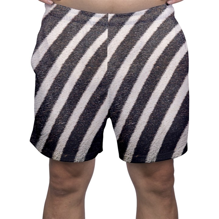 Zebra Zebra Pattern Zebra Fur Zebra Print Strip Men s Shorts