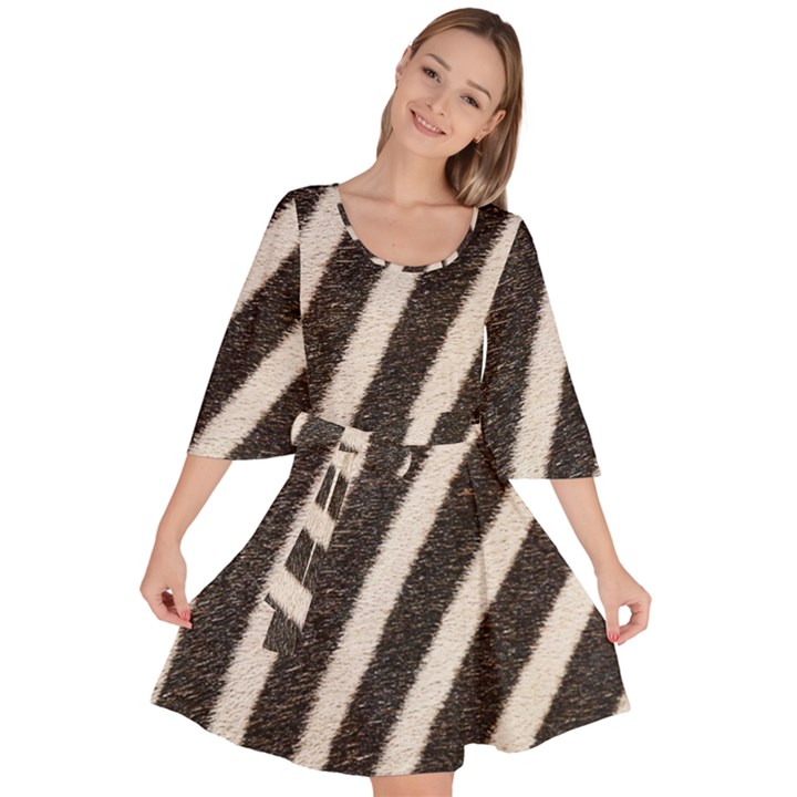 Zebra Zebra Pattern Zebra Fur Zebra Print Strip Velour Kimono Dress