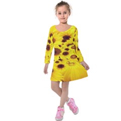 Beautiful Sunflowers Kids  Long Sleeve Velvet Dress by Ket1n9