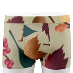 Autumn Leaves Autumn Colour Season Men s Boxer Briefs