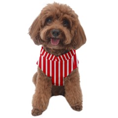 Strip Red White Pattern Dog Sweater by Loisa77