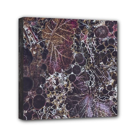 Grapevine Symphony Print Pattern Bk Mini Canvas 6  X 6  (stretched) by dflcprintsclothing