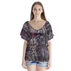 Grapevine Symphony Print Pattern Bk V-neck Flutter Sleeve Top by dflcprintsclothing