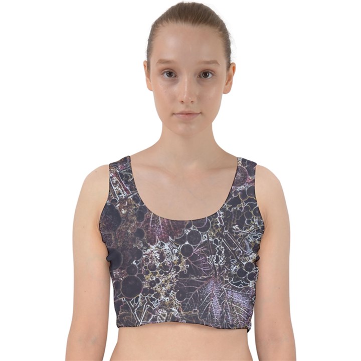 Grapevine Symphony Print Pattern Bk Velvet Racer Back Crop Top