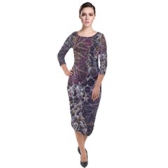 Grapevine Symphony Print Pattern Bk Quarter Sleeve Midi Velour Bodycon Dress by dflcprintsclothing