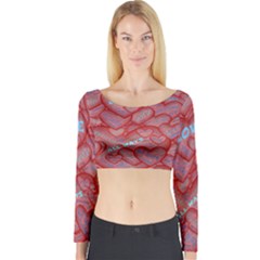 Love Hearts Valentine Red Symbol Long Sleeve Crop Top by Paksenen