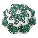 Illustrations Monstera Leafes Folding Umbrellas View1