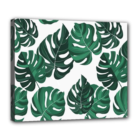 Illustrations Monstera Leafes Deluxe Canvas 24  X 20  (stretched) by anzea