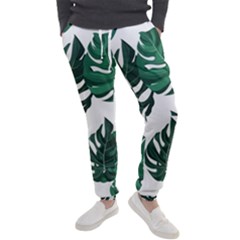 Illustrations Monstera Leafes Men s Jogger Sweatpants by anzea