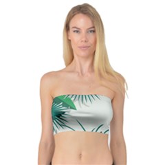 Illustrations Foliage Background Border Bandeau Top by anzea