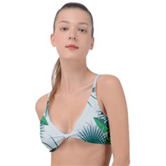 Illustrations Foliage Background Border Knot Up Bikini Top by anzea