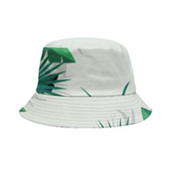 Illustrations Foliage Background Border Bucket Hat