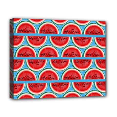 Illustrations Watermelon Texture Pattern Deluxe Canvas 20  X 16  (stretched) by anzea