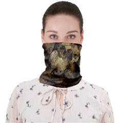 Skull Texture Vintage Face Covering Bandana (adult)