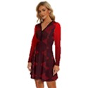 Rot Dunkel Long Sleeve Deep V Mini Dress  View2