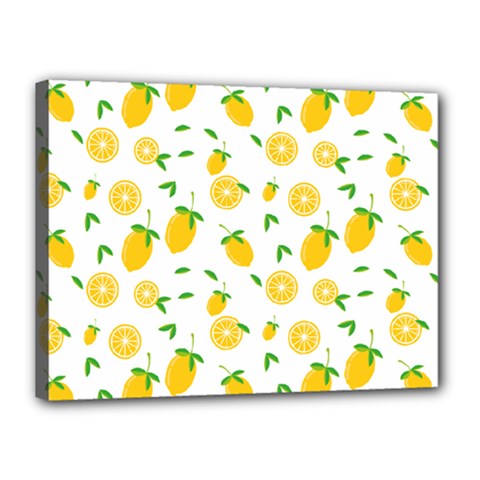 Illustrations Lemon Citrus Fruit Yellow Canvas 16  X 12  (stretched) by anzea