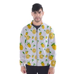 Illustrations Lemon Citrus Fruit Yellow Men s Windbreaker by anzea