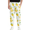 Illustrations Lemon Citrus Fruit Yellow Men s Elastic Waist Pants View1