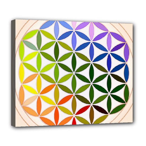 Mandala Rainbow Colorful Deluxe Canvas 24  X 20  (stretched)