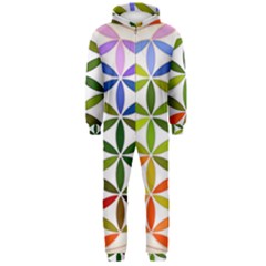 Mandala Rainbow Colorful Hooded Jumpsuit (men)