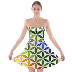 Mandala Rainbow Colorful Strapless Bra Top Dress by Ndabl3x