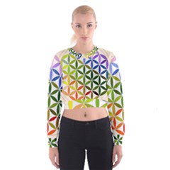 Mandala Rainbow Colorful Cropped Sweatshirt