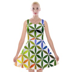 Mandala Rainbow Colorful Velvet Skater Dress