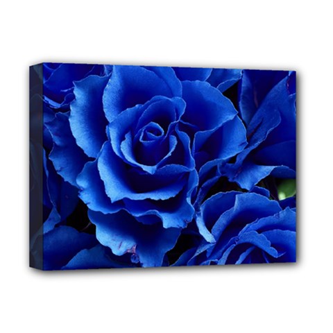 Roses Flowers Plant Romance Deluxe Canvas 16  X 12  (stretched)  by Proyonanggan